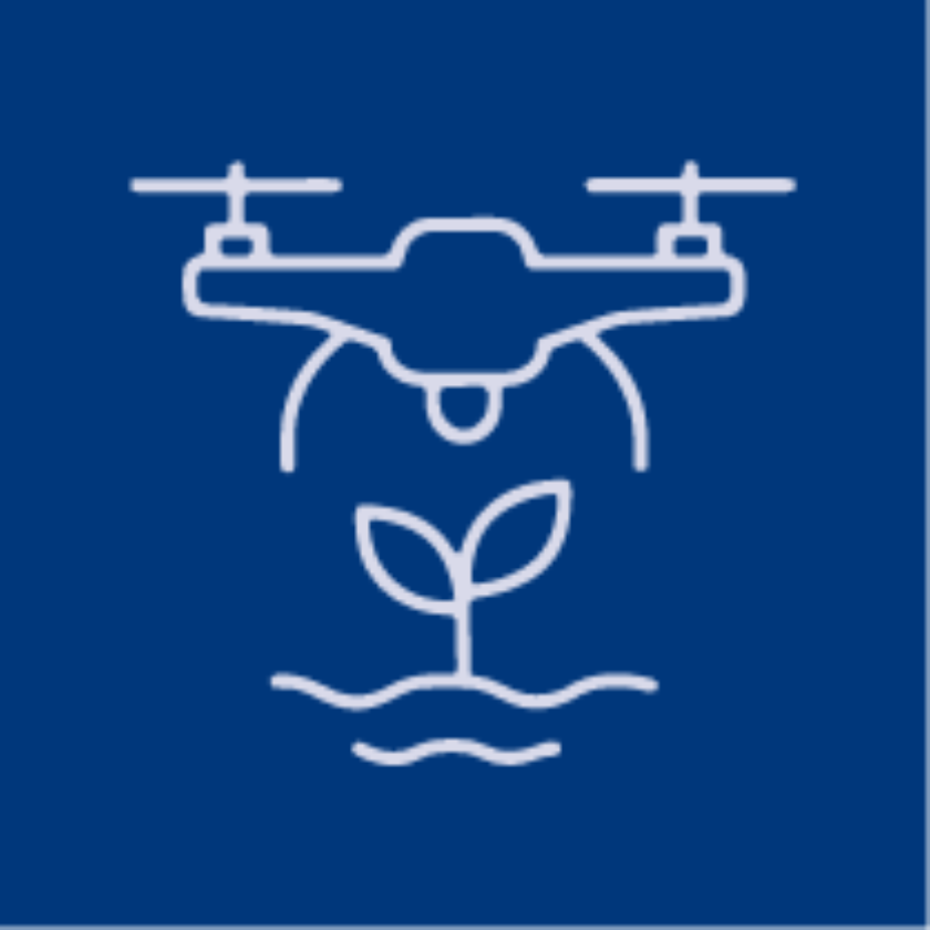 Aviation Australia Image